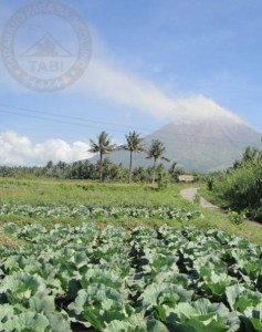 mayon3