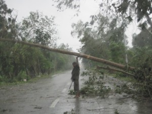 Fallen trees became obstacles to roads