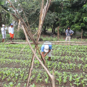 Hope in the face of two disasters: Nenita’s Story