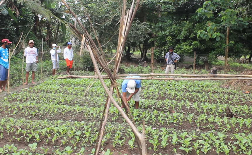 Hope in the face of two disasters: Nenita’s Story