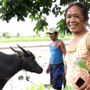 Maritess with the carabao given through Early Recovery Project