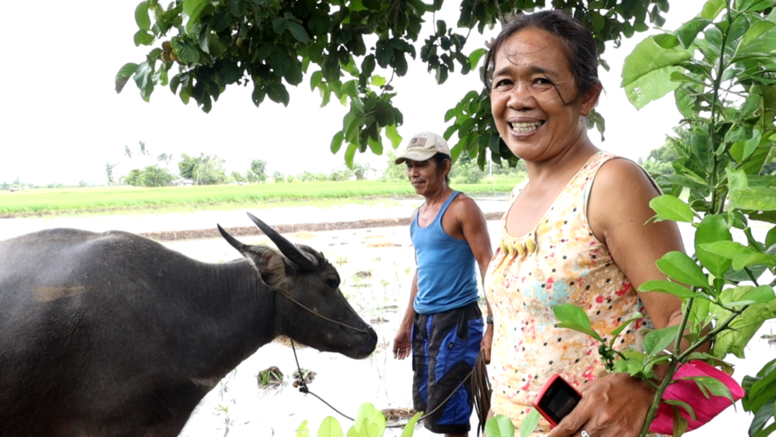 Maritess with the carabao given through Early Recovery Project
